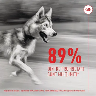 89% dintre proprietari sunt mulțumiți* după 2 luni de utilizare a suplimentelor ROYAL CANIN Joint & Ageing Chews Adult Supplements (studiu intern Royal Canin)