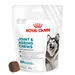 Royal Canin Joint & Ageing Adult Supplement Chews