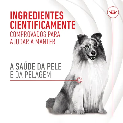 Ingredientes cientificamente comprovados para ajudar a manter a saúde da pele e da pelagem. Texto em português, imagem de cão e símbolo Royal Canin visível.