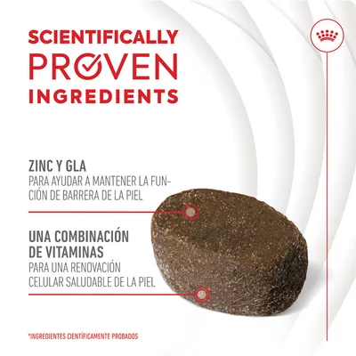 Texto en inglés: Scientifically Proven Ingredients. Zinc y GLA para ayudar a mantener la función de barrera de la piel. Una combinación de vitaminas para una renovación celular saludable de la piel. Texto en inglés: Scientifically Proven Ingredients. Zinc y GLA para ayudar a mantener la función de barrera de la piel. Una combinación de vitaminas para una renovación celular saludable de la piel.