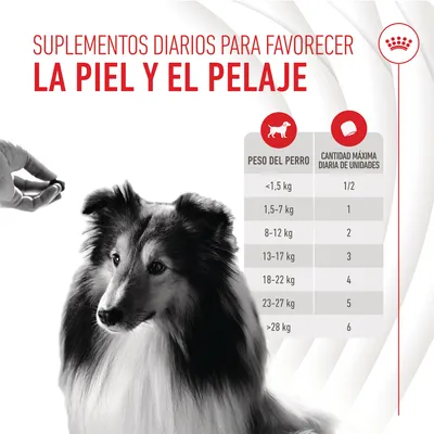 Suplementos diarios para favorecer la piel y el pelaje. Tabla: peso del perro y cantidad máxima diaria de unidades, desde 1/2 para <1,5 kg hasta 6 para >28 kg.