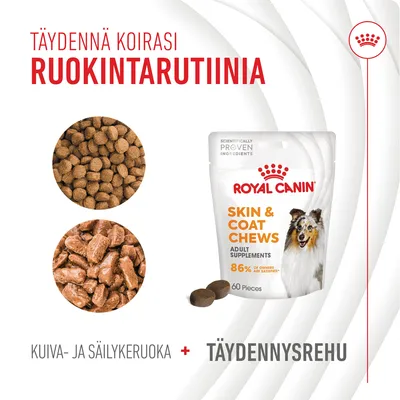 Royal Canin Skin & Coat Chews -täydennysrehu koirille, pakkauksessa 60 palaa. Näkyvissä myös kuivaruoka ja säilykeruoka. Teksti: Täydennä koirasi ruokintarutiinia.