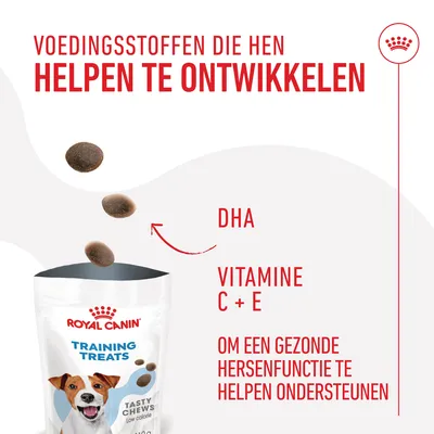 Royal Canin Training Treats Tasty Chews, tekst: voedingsstoffen die hen helpen te ontwikkelen, DHA, vitamine C + E, om een gezonde hersenfunctie te helpen ondersteunen.