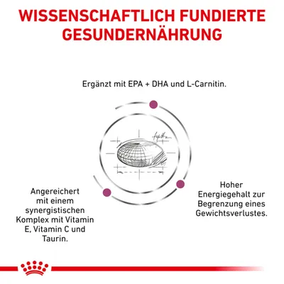 Texte en allemand : Wissenschaftlich fundierte Gesundernaehrung. Ergänzt mit EPA + DHA und L-Carnitin. Angereichert mit Vitamin E, C et Taurin. Hoher Energiegehalt zur Begrenzung eines Gewichtsverlustes.