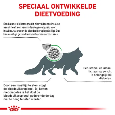 Speciaal ontwikkelde dieetvoeding voor katten met diabetes. Uitleg over insuline, bloedsuikerspiegel en het belang van stabiel lichaamsgewicht. Royal Canin merk zichtbaar onderaan.
