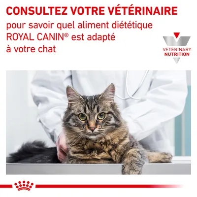 CONSULTEZ VOTRE VÉTÉRINAIRE pour savoir quel aliment diététique ROYAL CANIN® est adapté à votre chat. VETERINARY NUTRITION. Chat devant un vétérinaire en blouse blanche.