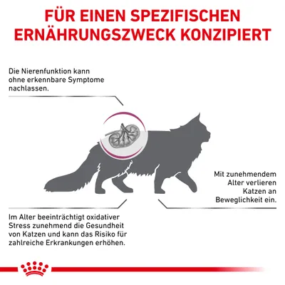 Grafik: Spezifische Ernährungszwecke für Katzen. Hinweise: Nierenfunktion kann ohne Symptome nachlassen, oxidativer Stress erhöht Krankheitsrisiko, Beweglichkeit nimmt mit Alter ab.
