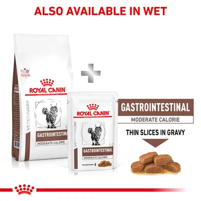 Gastrointestinal moderate calorie food, also available in wet form. Thin slices in gravy shown next to dry and wet packaging.