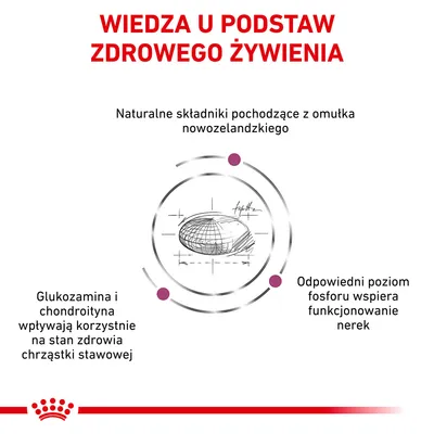 Wiedza u podstaw zdrowego żywienia. Naturalne składniki z omułka nowozelandzkiego, glukozamina i chondroityna wspierają chrząstkę stawową, fosfor wspiera nerki.