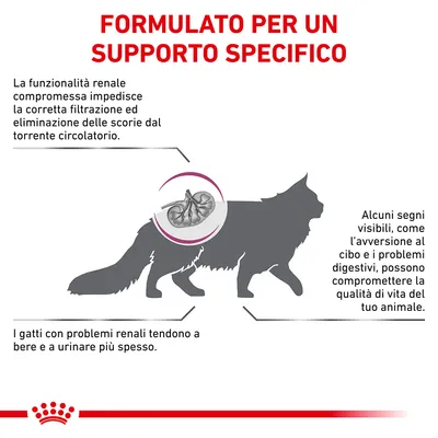Testo: Formulato per un supporto specifico. La funzionalità renale compromessa impedisce la corretta filtrazione ed eliminazione delle scorie dal torrente circolatorio. I gatti con problemi renali tendono a bere e a urinare più spesso. Alcuni segni visibili, come l’avversione al cibo e i problemi digestivi, possono compromettere la qualità di vita del tuo animale.