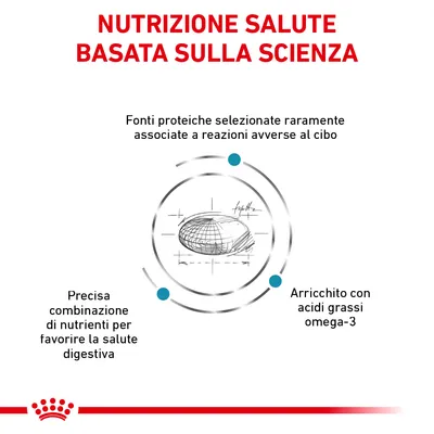 NUTRIZIONE SALUTE BASATA SULLA SCIENZA. Fonti proteiche selezionate raramente associate a reazioni avverse al cibo. Precisa combinazione di nutrienti per la salute digestiva. Arricchito con acidi grassi omega-3.