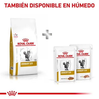 Royal Canin Urinary S/O para gatos, disponible en formato seco y húmedo. Texto visible: 'TAMBIÉN DISPONIBLE EN HÚMEDO'. Imagen de saco y sobres con ilustración de gato.