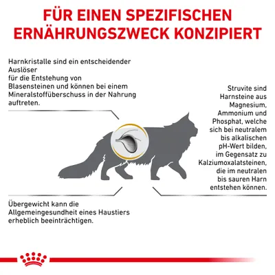 Grafik zur Ernährung von Haustieren: Harnkristalle können Blasensteine verursachen. Struvit-Harnsteine bilden sich bei neutralem bis alkalischem pH-Wert. Übergewicht beeinträchtigt die Gesundheit.