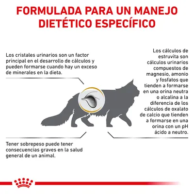 Formulada para un manejo dietético específico. Información sobre cristales urinarios, cálculos de estruvita y oxalato, y consecuencias del sobrepeso en la salud general del animal.