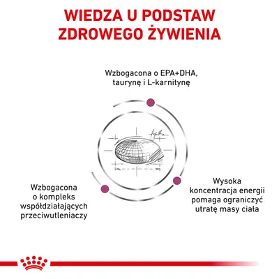 WIEDZA U PODSTAW ZDROWEGO ŻYWIENIA. Wzbogacona o EPA+DHA, taurynę i L-karnitynę. Kompleks przeciwutleniaczy. Wysoka koncentracja energii pomaga ograniczyć utratę masy ciała.