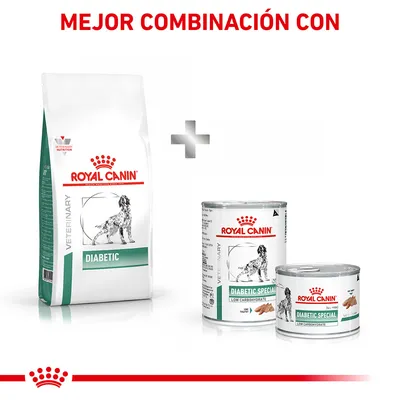 Royal Canin Diabetic pienso y latas Diabetic Special Low Carbohydrate. Texto: Mejor combinación con. Envases visibles de comida seca y húmeda para perros.