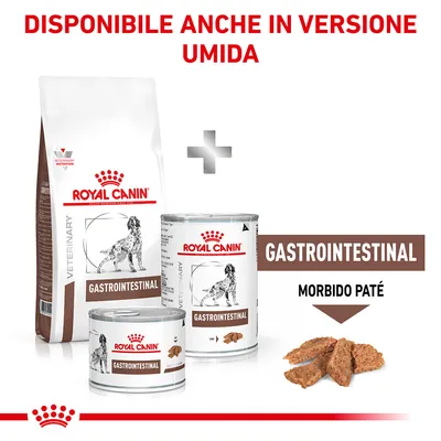 Royal Canin Gastrointestinal per cani, confezione secca e lattine umido morbido paté. Testo: disponibile anche in versione umida, GASTROINTESTINAL, MORBIDO PATÉ.