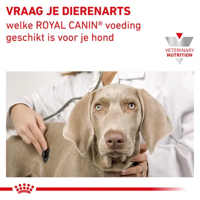 VRAAG JE DIERENARTS welke ROYAL CANIN voeding geschikt is voor je hond. VETERINARY NUTRITION.