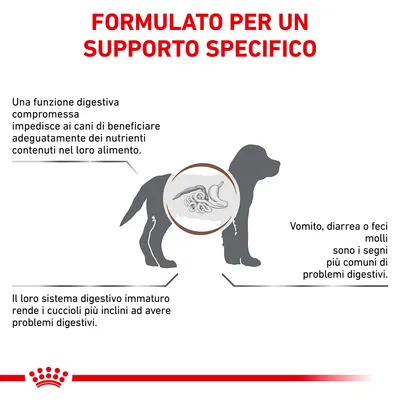 FORMULATO PER UN SUPPORTO SPECIFICO. Una funzione digestiva compromessa impedisce ai cani di beneficiare dei nutrienti. Vomito, diarrea o feci molli sono segni comuni di problemi digestivi.