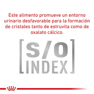 Este alimento promueve un entorno urinario desfavorable para la formación de cristales tanto de estruvita como de oxalato cálcico. [s/o] INDEX.