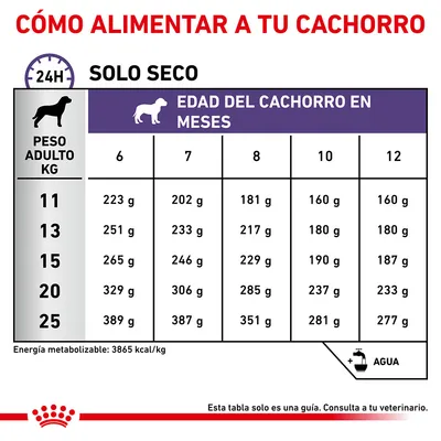 Tabla de alimentación para cachorros solo seco: peso adulto 11–25 kg, cantidades diarias según meses (6 a 12). Ejemplo: 11 kg, 6 meses: 223 g; 25 kg, 12 meses: 277 g. Energía: 3865 kcal/kg.