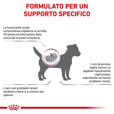 FORMULATO PER UN SUPPORTO SPECIFICO. La funzionalità renale compromessa impedisce la corretta filtrazione. I cani con problemi renali tendono a bere e urinare più spesso. Appetito capriccioso.