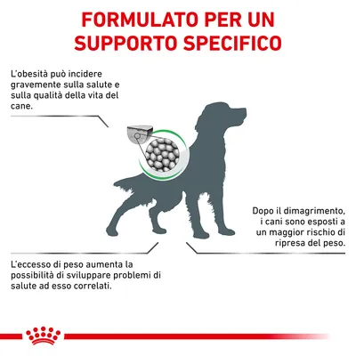 FORMULATO PER UN SUPPORTO SPECIFICO. L'obesità può incidere gravemente sulla salute e sulla qualità della vita del cane. Dopo il dimagrimento, i cani sono esposti a un maggior rischio di ripresa del peso. L'eccesso di peso aumenta la possibilità di sviluppare problemi di salute ad esso correlati.