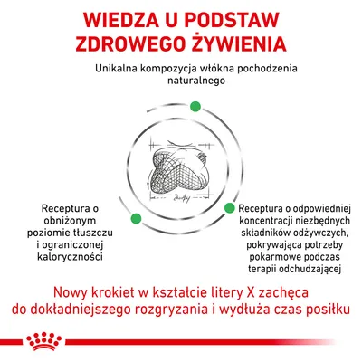 Wiedza u podstaw zdrowego żywienia. Unikalna kompozycja włókna pochodzenia naturalnego. Receptura o obniżonym poziomie tłuszczu i ograniczonej kaloryczności. Nowy krokiet w kształcie litery X.