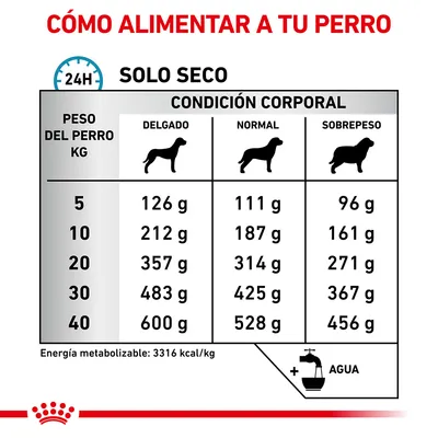 Tabla de raciones diarias de pienso seco para perros según peso (5–40 kg) y condición corporal (delgado, normal, sobrepeso). Incluye recomendación de agua y energía: 3316 kcal/kg.
