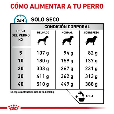 Tabla de raciones diarias de pienso seco según peso del perro (5–40 kg) y condición corporal: delgado, normal o sobrepeso. Incluye valores en gramos y recomendación de agua.
