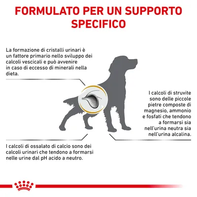 FORMULATO PER UN SUPPORTO SPECIFICO. Testo: formazione di cristalli urinari, calcoli di struvite e ossalato di calcio nei cani, spiegazione dei fattori e composizione. Immagine sagoma cane.