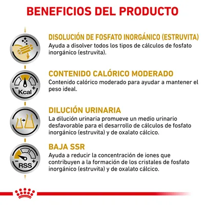 Beneficios del producto: disolución de fosfato inorgánico (estruvita), contenido calórico moderado, dilución urinaria y baja SSR. Explicaciones detalladas para cada beneficio visibles en la imagen.