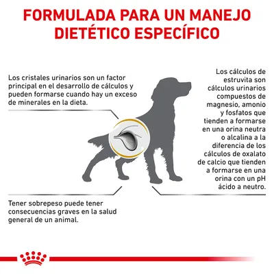 Formulada para un manejo dietético específico. Información sobre cristales urinarios, cálculos de estruvita y oxalato, y consecuencias del sobrepeso en la salud general del animal.