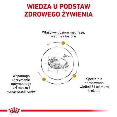 Wiedza u podstaw zdrowego żywienia: właściwy poziom magnezu, wapnia i fosforu; wspomaga utrzymanie optymalnego pH moczu i jonów; specjalnie opracowana wielkość i tekstura krokieta.