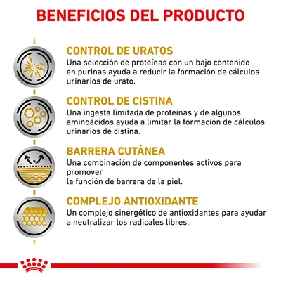 Beneficios del producto: control de uratos, control de cistina, barrera cutánea y complejo antioxidante con descripciones detalladas de cada beneficio en español.