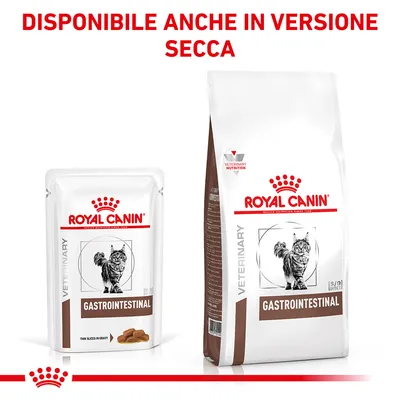 Royal Canin Gastrointestinal per gatti, confezione umido e secco. Testo visibile: DISPONIBILE ANCHE IN VERSIONE SECCA.