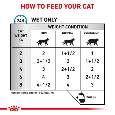 Feeding guide for cats: shows daily wet food portions by cat weight and body condition—thin, normal, overweight. Includes water symbol and metabolizable energy value of 962 kcal/kg.