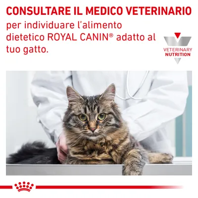 CONSULTARE IL MEDICO VETERINARIO per individuare l’alimento dietetico ROYAL CANIN adatto al tuo gatto. VETERINARY NUTRITION. Gatto su tavolo con veterinario.