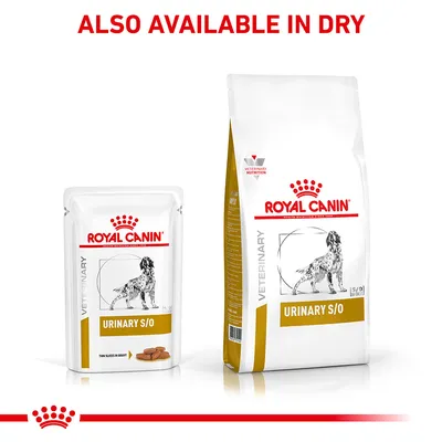 Royal Canin Veterinary Urinary S/O food shown in wet and dry packaging, with text stating 'Also available in dry'.
