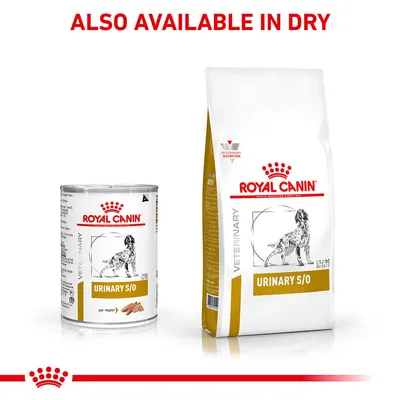 Royal Canin Urinary S/O shown in wet and dry forms. Text states: Also available in dry.