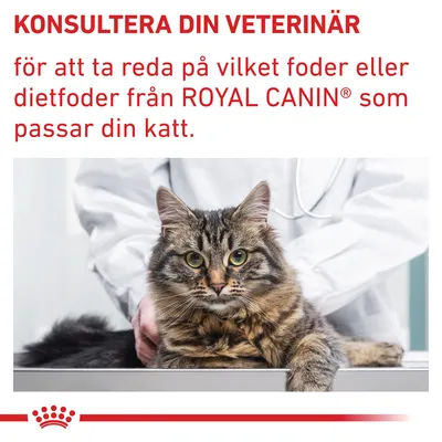 KONSULTERA DIN VETERINÄR för att ta reda på vilket foder eller dietfoder från ROYAL CANIN® som passar din katt.