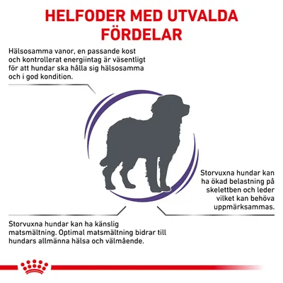 Text: HELFODER MED UTVALDA FÖRDELAR. Hälsosamma vanor, kost och energintag viktiga för hundars hälsa. Storvuxna hundar kan ha känslig matsmältning och ökad belastning på skelett och leder.