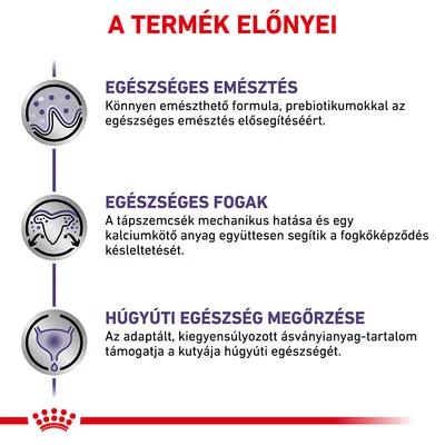 A TERMÉK ELŐNYEI: EGÉSZSÉGES EMÉSZTÉS, EGÉSZSÉGES FOGAK, HÚGYÚTI EGÉSZSÉG MEGŐRZÉSE. Részletes leírás mindhárom előnyhöz magyar nyelven látható.