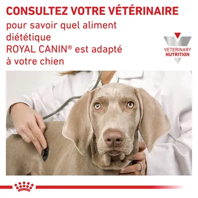 Consultez votre vétérinaire pour savoir quel aliment diététique ROYAL CANIN est adapté à votre chien. VETERINARY NUTRITION.