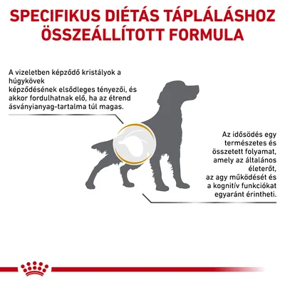 Specifikus diétás tápláláshoz összeállított formula. A vizeletben képződő kristályok és az idősödés hatásai kutyáknál, magyarázó szövegekkel.
