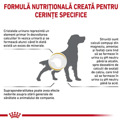 Formulă nutrițională creată pentru cerințe specifice. Informații despre cristale urinare, struviți și efectele supraponderalității la câini. Imagine cu silueta unui câine.
