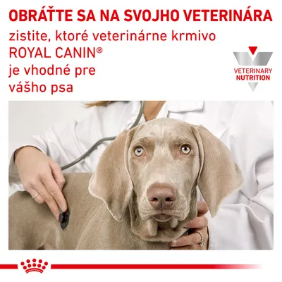 OBRÁŤTE SA NA SVOJHO VETERINÁRA, zistite, ktoré veterinárne krmivo ROYAL CANIN je vhodné pre vášho psa. Logo Veterinary Nutrition. Veterinár vyšetruje psa stetoskopom.
