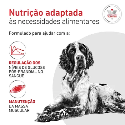 Royal Canin Veterinary Canine Glycobalance Royal Canin Veterinary Canine Glycobalance