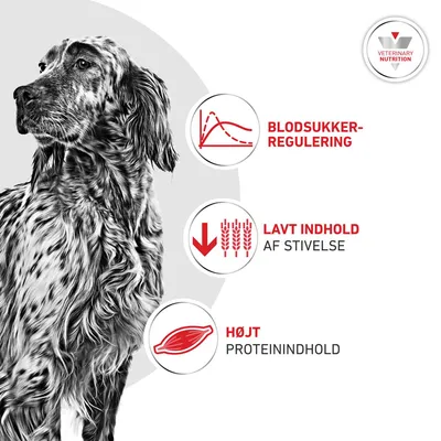 Royal Canin Veterinary Canine Glycobalance