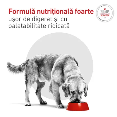Royal Canin Veterinary Canine Glycobalance Mousse